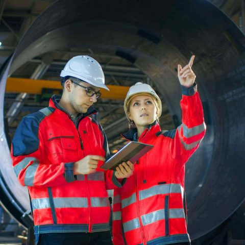 From idea to realization